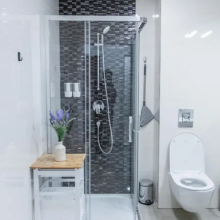 Apartment Spacious In Wenceslas Square Prague