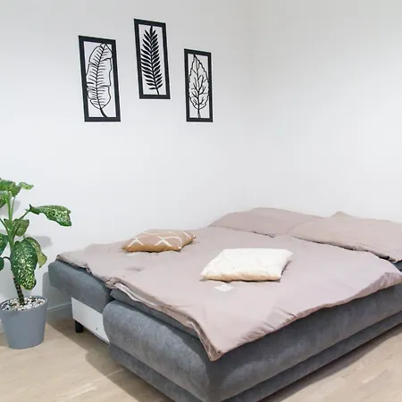 Spacious In Wenceslas Square Apartment Prague