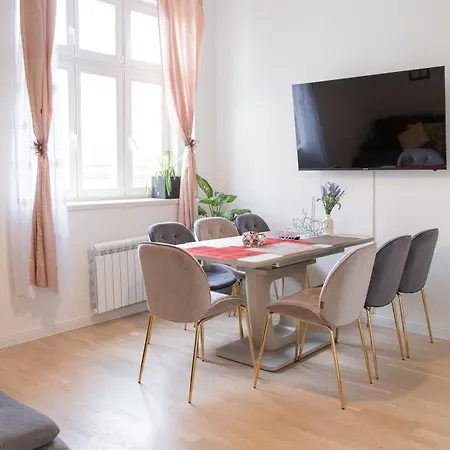 公寓 Spacious In Wenceslas Square 布拉格