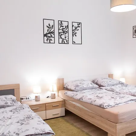 公寓 Spacious In Wenceslas Square *